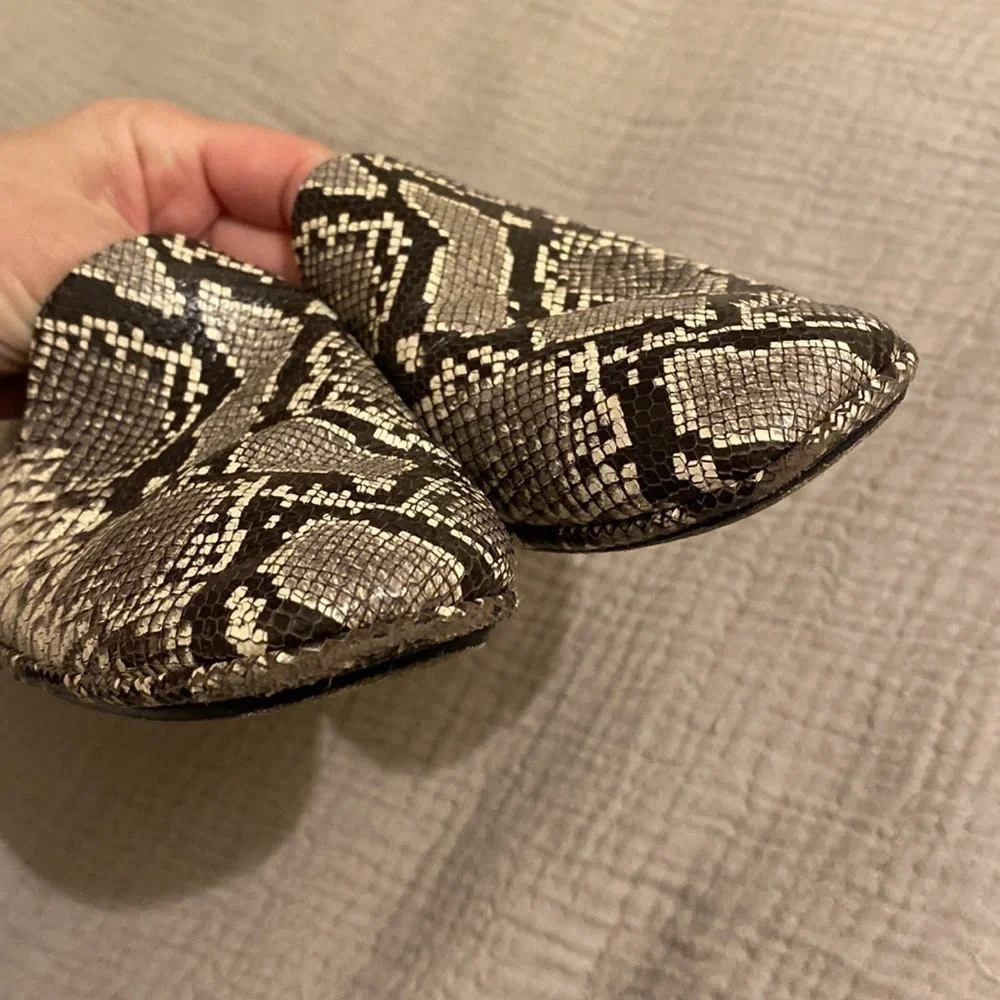 Vince sneake print shoes . Size 7.5